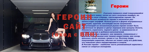 индика Приозерск