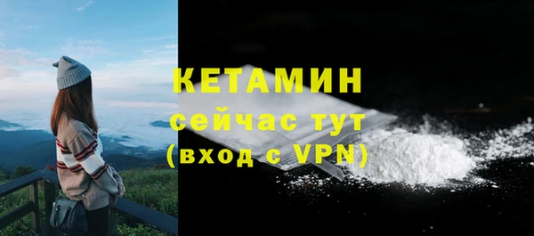 индика Приозерск