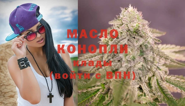индика Приозерск