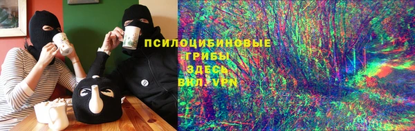индика Приозерск