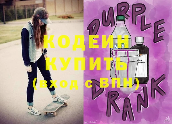 индика Приозерск