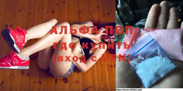 индика Приозерск