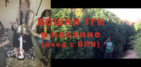 индика Приозерск