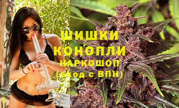 индика Приозерск