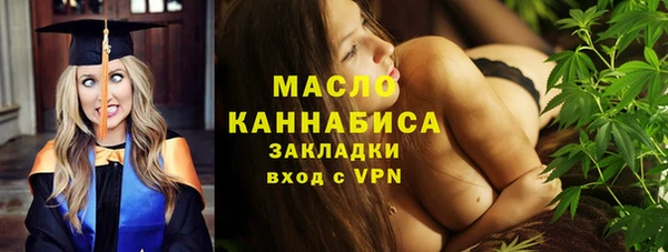 индика Приозерск
