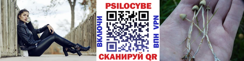 Псилоцибиновые грибы Cubensis  наркота  Урюпинск 