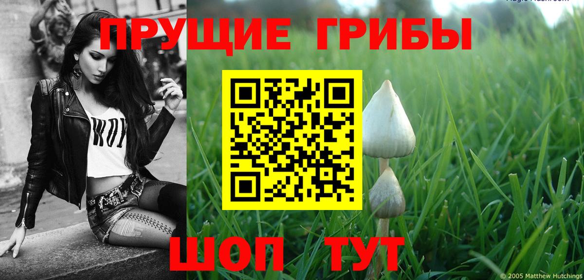 Галлюциногенные грибы Cubensis Урюпинск
